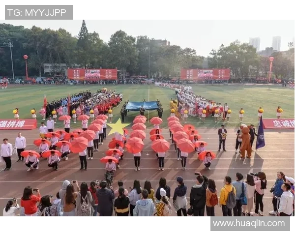 深圳排球队在钻石联赛中的拼搏历程与荣耀时刻全景回顾