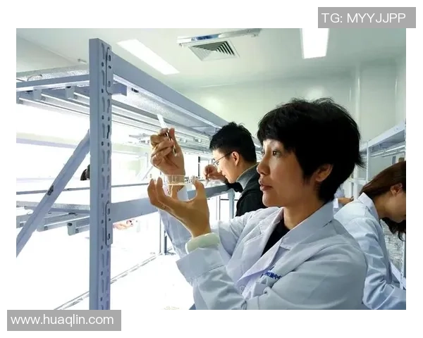 武汉排球队进攻革新之路探秘与未来展望