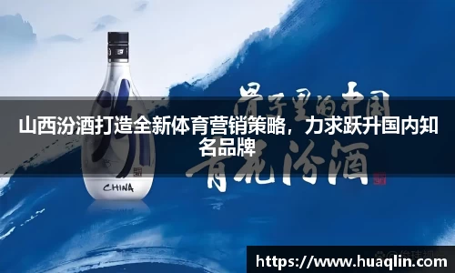 bsports官网入口