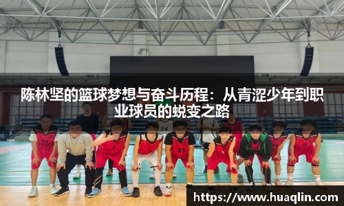 B体育bsports