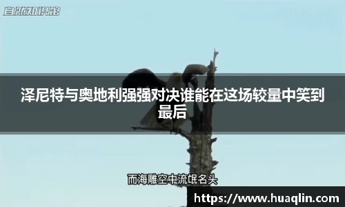 bsports官网入口