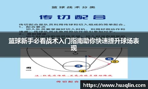 B体育官网